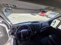 Iveco Daily Daily Furgón 35S16 Blanco - thumbnail 5