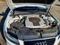 Audi A5 Coupe 3.0 TDI quattro"TÜV NEU"Automatik" Blanco - thumbnail 9
