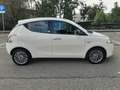 Lancia Ypsilon 1.2 8v Silver s/c.traz.,esp ecochic Gpl 69cv Bianco - thumbnail 7