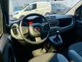 Fiat Panda 1.0 hybrid PREZZO REALE Grau - thumbnail 8