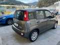 Fiat Panda 1.0 hybrid PREZZO REALE Grau - thumbnail 4