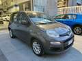 Fiat Panda 1.0 hybrid PREZZO REALE Grau - thumbnail 3