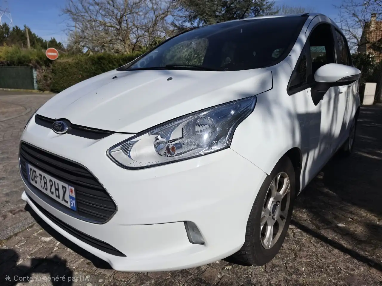 Ford B-Max 1.0 EcoBoost 100 Setamp;S Trend