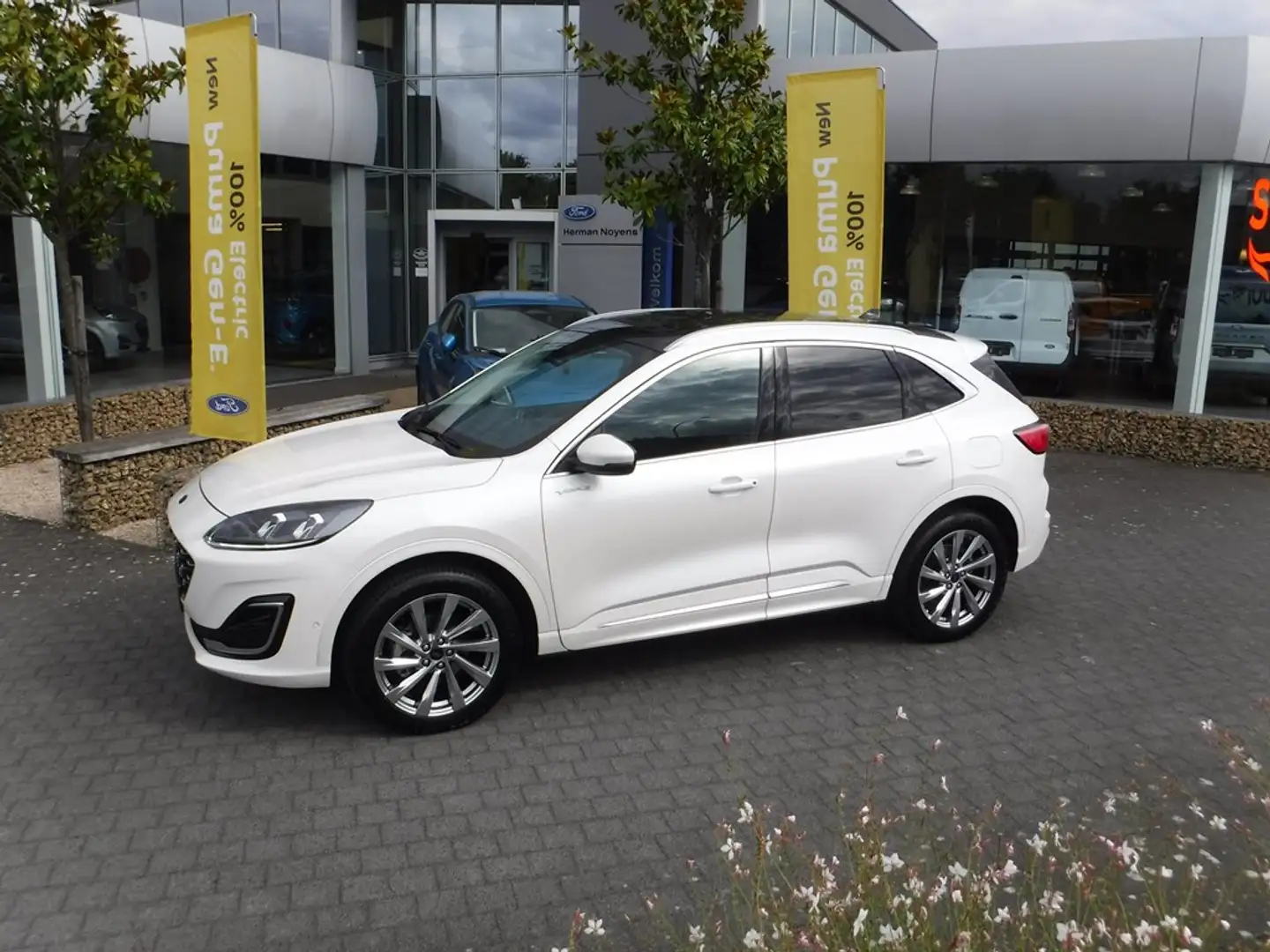 Ford Kuga Vignale FHEV AUT Blanc - 1