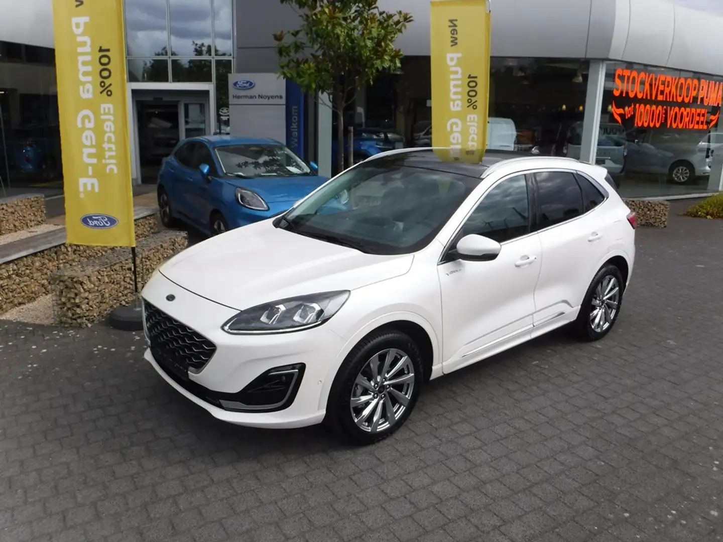 Ford Kuga Vignale FHEV AUT Blanc - 2