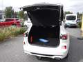Ford Kuga Vignale FHEV AUT Blanc - thumbnail 15