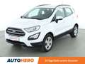 Ford EcoSport 1.0 EcoBoost Cool&Connect*NAVI*PDC*AHK*SHZ*KLIMA* Білий - thumbnail 1
