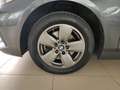 BMW 116 d 5p. auto Navi Cruise Control Sensori DAB Grau - thumbnail 37