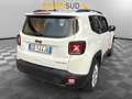 Jeep Renegade 2019 Benzina 1.0 t3 Longitude 2wd Weiß - thumbnail 5