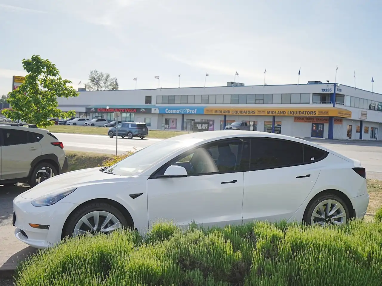 Tesla Model 3 photo Tesla Model 3