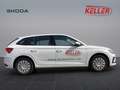 Skoda Scala Essence 1,0 TSI 70 kW 5-Gang mech. Blanc - thumbnail 4