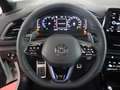 Volkswagen T-Roc R 300 PS RFK NAVI ,,Easy Open & Close'' WR Gris - thumbnail 4
