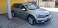 Volkswagen Golf Variant Golf Alltrack 1.6 tdi Executive 110cv Argento - thumbnail 11