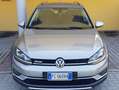 Volkswagen Golf Variant Golf Alltrack 1.6 tdi Executive 110cv Argento - thumbnail 12