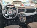 Fiat Panda 1.2 Lounge s KM CERTIFICATI Gris - thumbnail 5