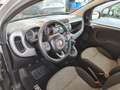 Fiat Panda 1.2 Lounge s KM CERTIFICATI Gris - thumbnail 7