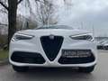 Alfa Romeo Stelvio Super Q4 *Navi*Leder*LED*Xenon*Kamera* Weiß - thumbnail 4