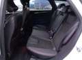 Ford Mondeo Traveller ST-Line 2,0 Hybrid Automatik Weiß - thumbnail 8