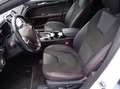 Ford Mondeo Traveller ST-Line 2,0 Hybrid Automatik Weiß - thumbnail 10