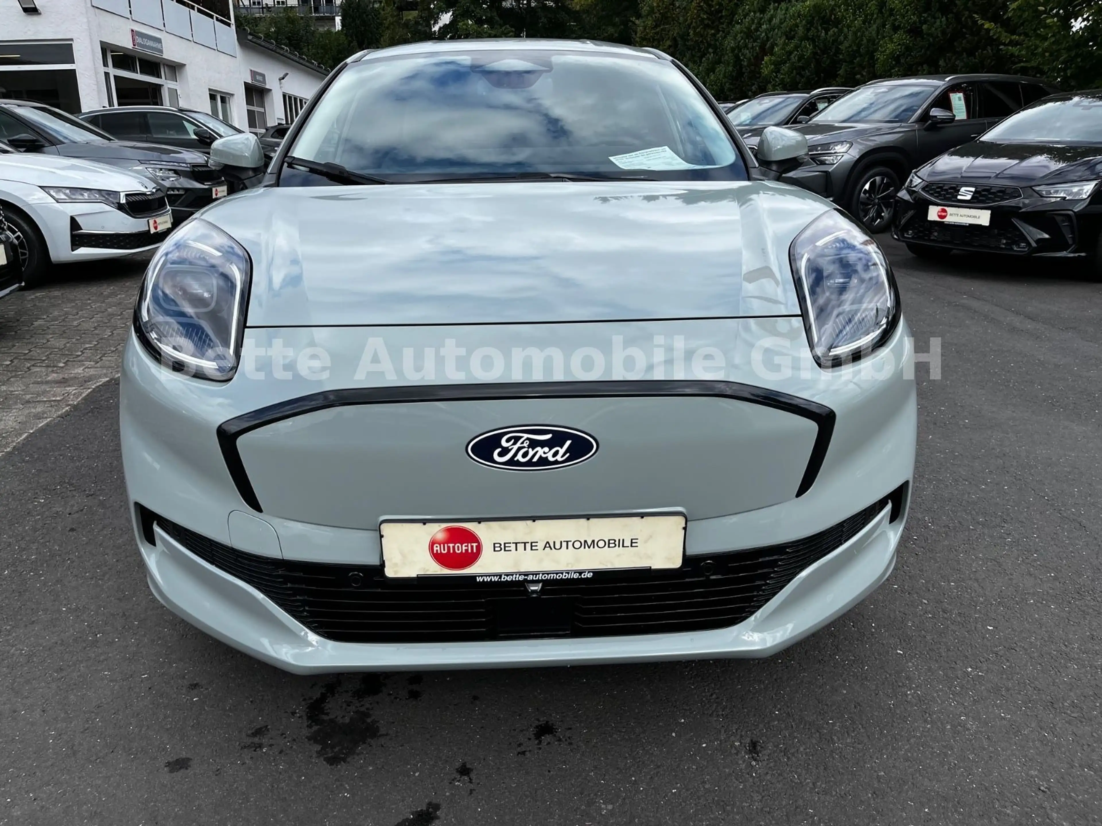 Ford Puma Gen-E Premium — photo 5