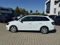 Skoda Fabia Combi 1.4 TDI Ambition - thumbnail 5