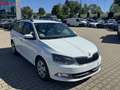 Skoda Fabia Combi 1.4 TDI Ambition - thumbnail 14