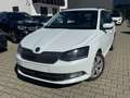Skoda Fabia Combi 1.4 TDI Ambition - thumbnail 20