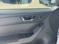 Skoda Fabia Combi 1.4 TDI Ambition - thumbnail 6