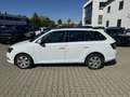 Skoda Fabia Combi 1.4 TDI Ambition - thumbnail 12
