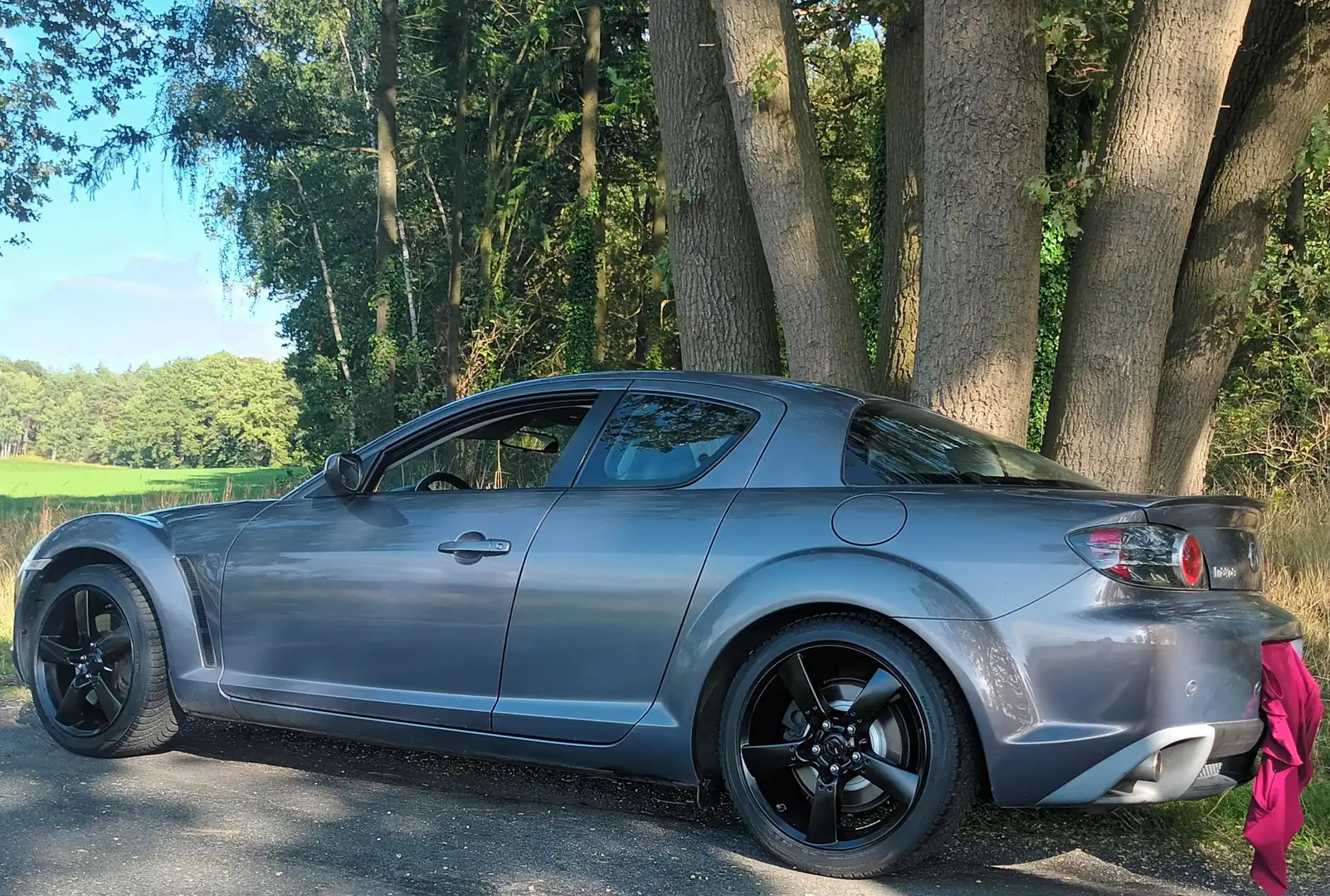 Mazda RX-8 Top Zustand Gepflegt Liebhaberstück Grau - 2
