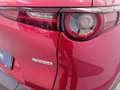 Mazda CX-30 2.0 Skyactiv-G Evolution 2WD 90kW Rojo - thumbnail 8