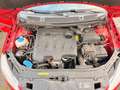 Skoda Roomster 1.6 TDI Klima AHK Tüv 05/27 EU5 Rot - thumbnail 24