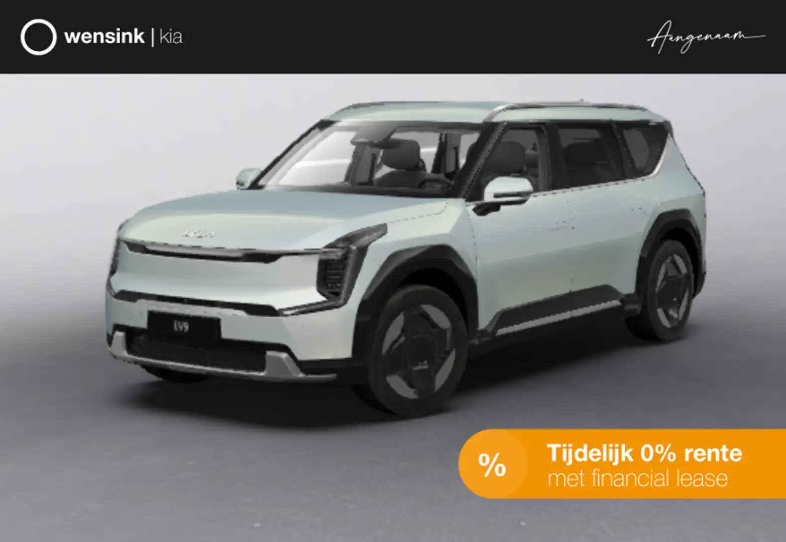 Kia EV9 Plus AWD 99.8 kWh Argintiu - 1