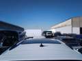 Volkswagen Tiguan 2.0TDI R-Line 4Motion DSG 110kW Blanco - thumbnail 18