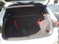 Volkswagen Tiguan 2.0TDI R-Line 4Motion DSG 110kW Blanco - thumbnail 13