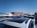 Volkswagen Tiguan 2.0TDI R-Line 4Motion DSG 110kW Blanco - thumbnail 19
