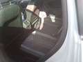 Volkswagen Tiguan 2.0TDI R-Line 4Motion DSG 110kW Blanco - thumbnail 10