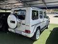 Mercedes-Benz G 63 AMG iva esposta / tagliandi / pronta consegna Bianco - thumbnail 4