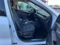 Ford Kuga 2.5 PHEV Titanium X Weiß - thumbnail 8