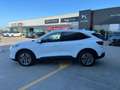 Ford Kuga 2.5 PHEV Titanium X Weiß - thumbnail 3