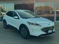 Ford Kuga 2.5 PHEV Titanium X Weiß - thumbnail 2