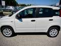 Fiat Panda 0.9 t.air "METANO" --PREZZO LIBERO VINCOLI-- Bianco - thumbnail 2