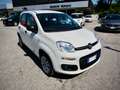 Fiat Panda 0.9 t.air "METANO" --PREZZO LIBERO VINCOLI-- Bianco - thumbnail 6
