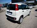 Fiat Panda 0.9 t.air "METANO" --PREZZO LIBERO VINCOLI-- Bianco - thumbnail 4