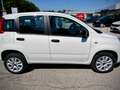 Fiat Panda 0.9 t.air "METANO" --PREZZO LIBERO VINCOLI-- Bianco - thumbnail 5