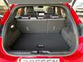 Ford Puma ST-Line X Facelift 1.0 EcoBoost,ACC+Kamera+B&O Rosso - thumbnail 12