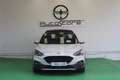 Ford Focus 2.0 Ecoblue 110kW Active Auto SportBr Bianco - thumbnail 2