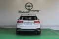 Ford Focus 2.0 Ecoblue 110kW Active Auto SportBr Bianco - thumbnail 6