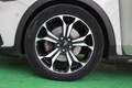 Ford Focus 2.0 Ecoblue 110kW Active Auto SportBr Bianco - thumbnail 9
