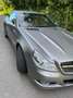 Mercedes-Benz SL 350 Roadstar SPORTMOTOR Grau - thumbnail 6